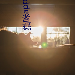 猫咪(mī)app狂仙