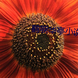 鹤唳华亭(亭)小说(說)
