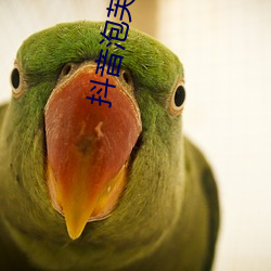 抖音泡芙短视频无限看