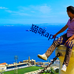 猫咪(咪)app狂(狂)仙