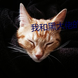 我和黑大佬的(de)365天第二季(jì)