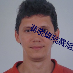 莫晓蝶(蝶)陆(陸)晨旭免费(費)阅读无(無)弹(彈)窗
