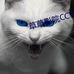 草草影院ccyycom