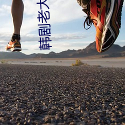 韩剧老大电视剧免费全集在