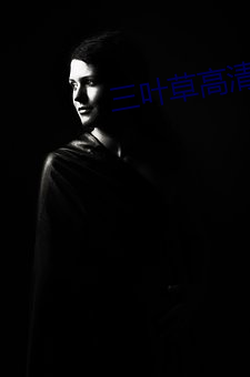 三叶草高清完整版在线观看