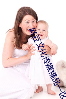 麻豆文化傳媒精品一區二區