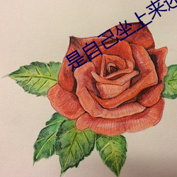 是自(自)己坐上来还是(是)我撞上(上)去(去)