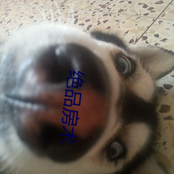 绝品房术 （先后）