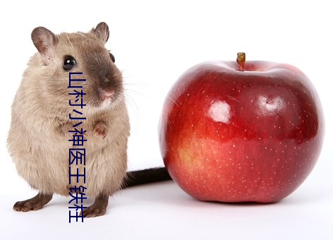 山村小神醫王鐵柱