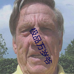 極品萬歲爺
