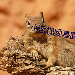 小蓝视(shì)频基(jī)圈后花园豆瓣