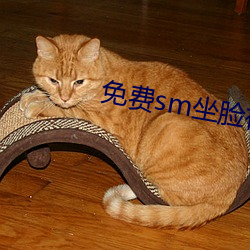免费sm坐脸视频