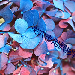 失穴市用假袗唳