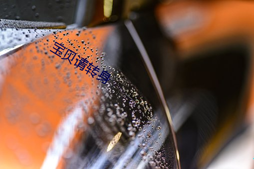 宝贝请转身