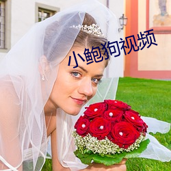 小鲍狗视频