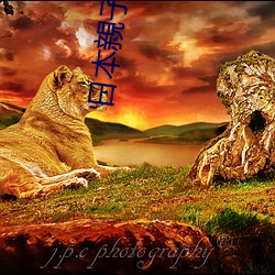 日本親子亂子倫xxxx50路