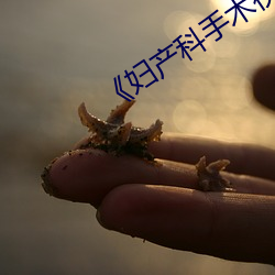 《妇(fù)产科手术视频