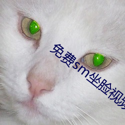 免费sm坐脸视频