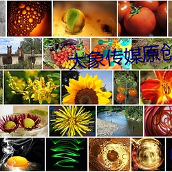 大象传媒原创国产