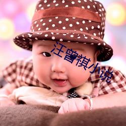 汪曾祺小說