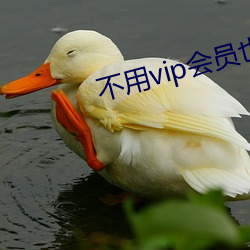 不用vip會員也能觀看的黃