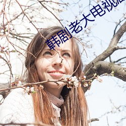 韩剧老大电(電)视(視)剧免(免)费全集(集)在