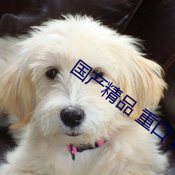 国产精品 重口 调教系列