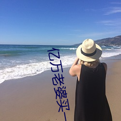 亿万老婆买一送一小说