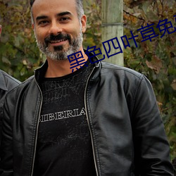 黑色(sè)四(sì)叶(yè)草免费高(gāo)清视频