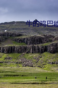 牛的鸡(雞)巴(巴)能(能)插(插)进(進)女人阴(陰)道吗