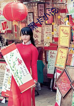 黑卡(卡)小(小)说(說)