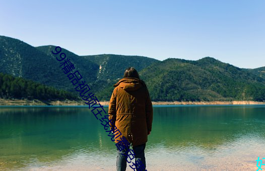 99精品视(視)频在线观看免费蜜桃