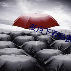夜月下载免费