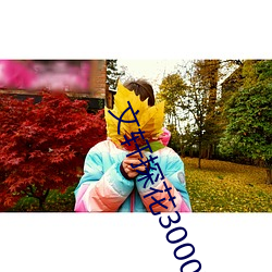 文轩(xuān)探(tàn)花3000在(zài)线观看