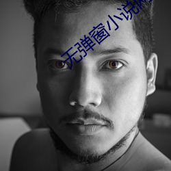 無彈窗小說網