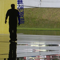 罪域全集