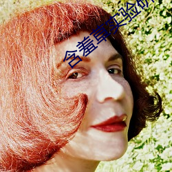 含羞草實驗研究所入口免直接進入