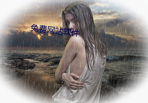 免费网站软件