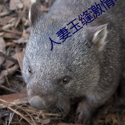 人妻玉缝(fèng)激情呻吟
