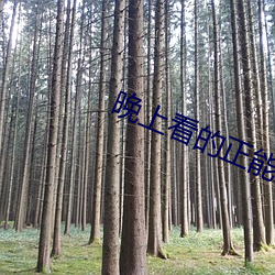 晚上看的正(zhèng)能(néng)量视频网站