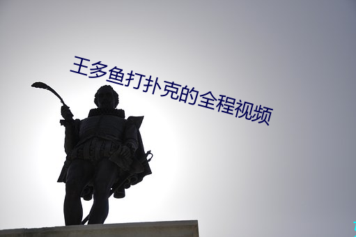 王多鱼打扑克的全程视频