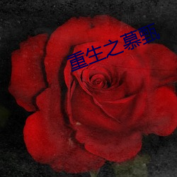 重生之慕甄