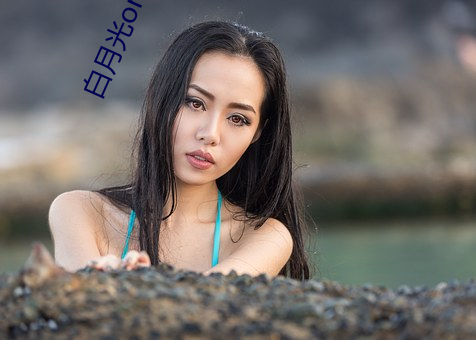 白月光omega总(總)想独占(占)我(我)