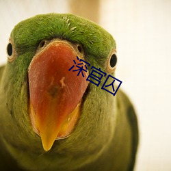 深宮囚