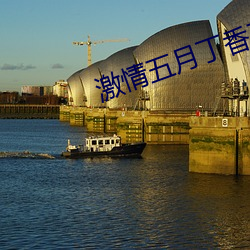 激情五月丁香五月婷婷