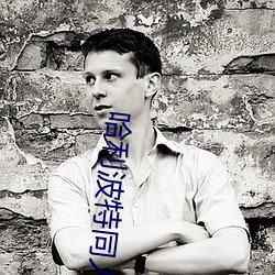 哈利波特同人小说
