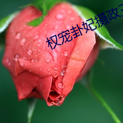 权宠卦(卦)妃(妃)摄政(政)王的(的)心上娇免费阅读