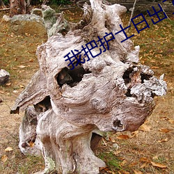 我把护士日出了白浆免费