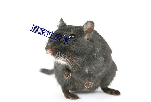道家性房術