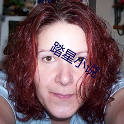 踏星小说